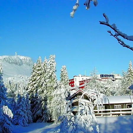 Thon Skeikampen Hotel 3*